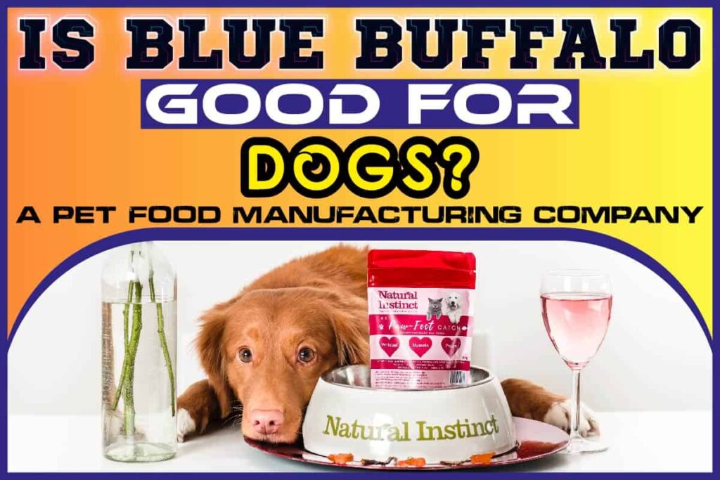 Is Blue Buffalo Good For Dogs? A Pet Food Manufacturing Company